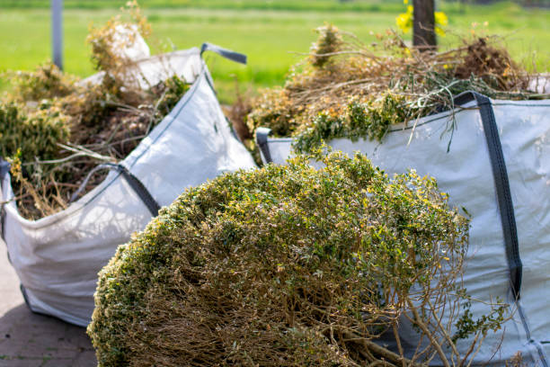 Demolition Debris Removal in Buckeye Lake, OH